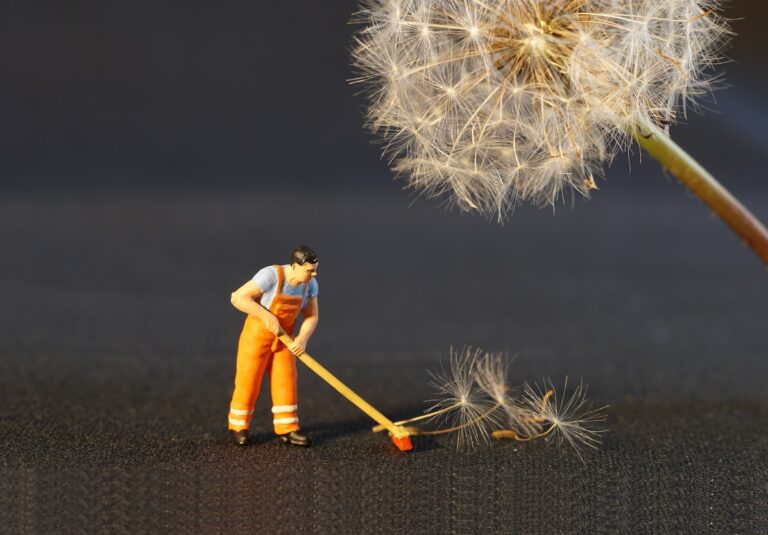 Cesta na venkov: Očista zaneseného prostředí