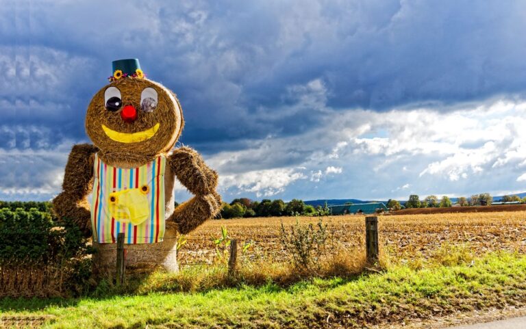 úsměv, sláma, balík, kyblík, zatažené počasí, radost